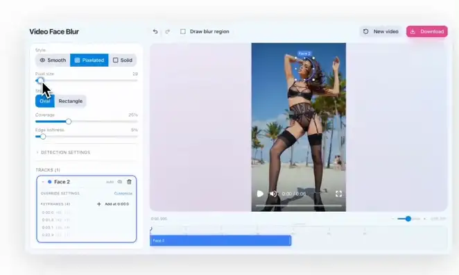 Video Face Blur